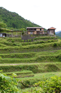 Kannnogawa HBP
