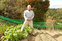 民宿 久庵 野菜収穫