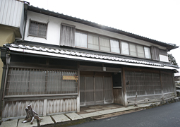 野の花 外観